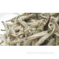 high quality jasmine tea/best jasmine tea/jasmine tea prices